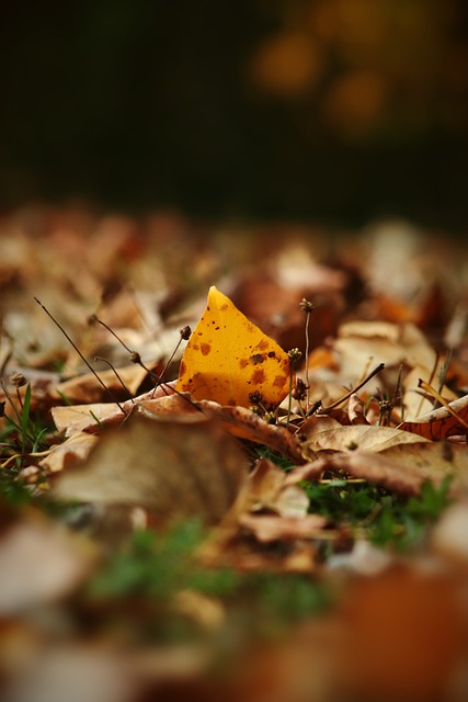 造成災難性 造成災難性