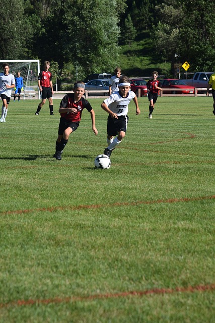 我们看到了 我们看到了