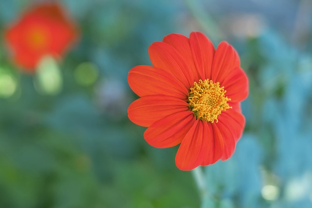 张宁和许钟豪的争议引发球迷热议.