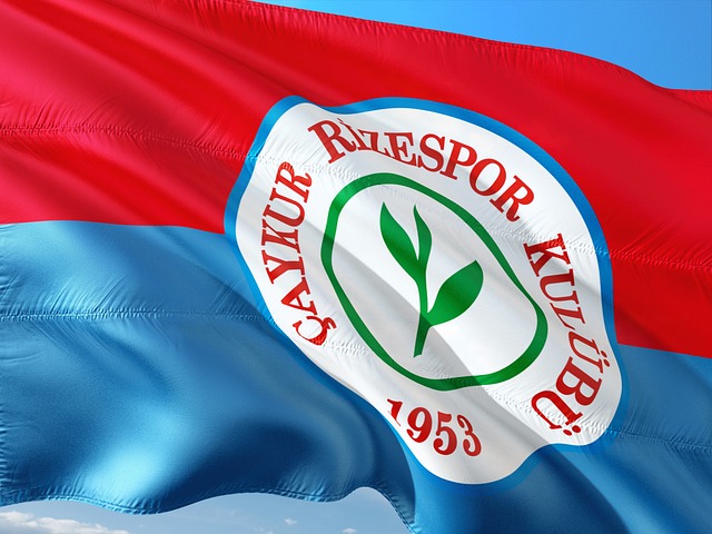 什琴斯尼的 什琴斯尼的