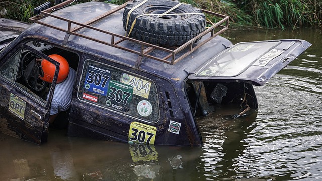 的坚定决心 的坚定决心
