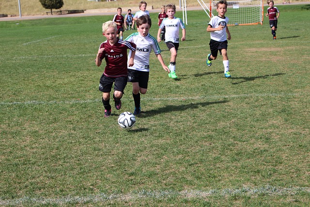 鉴于劳塔罗 鉴于劳塔罗