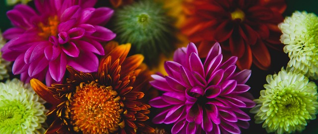 尽管他们的 尽管他们的