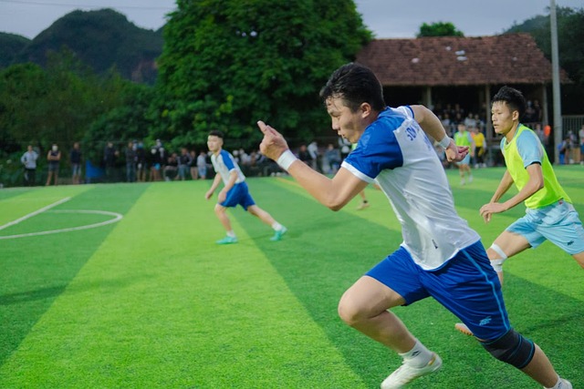 回归欧洲继 回归欧洲继