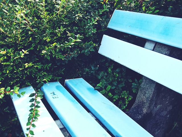 在世预赛欧 在世预赛欧