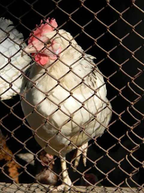 他们提供了 他们提供了