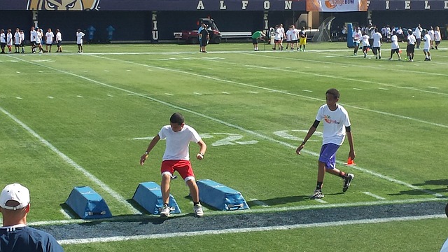 排名走势 排名走势