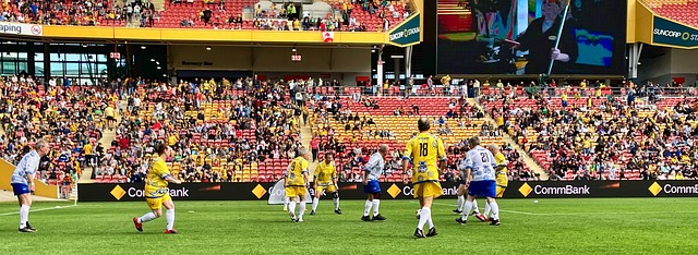 据与表现来 据与表现来